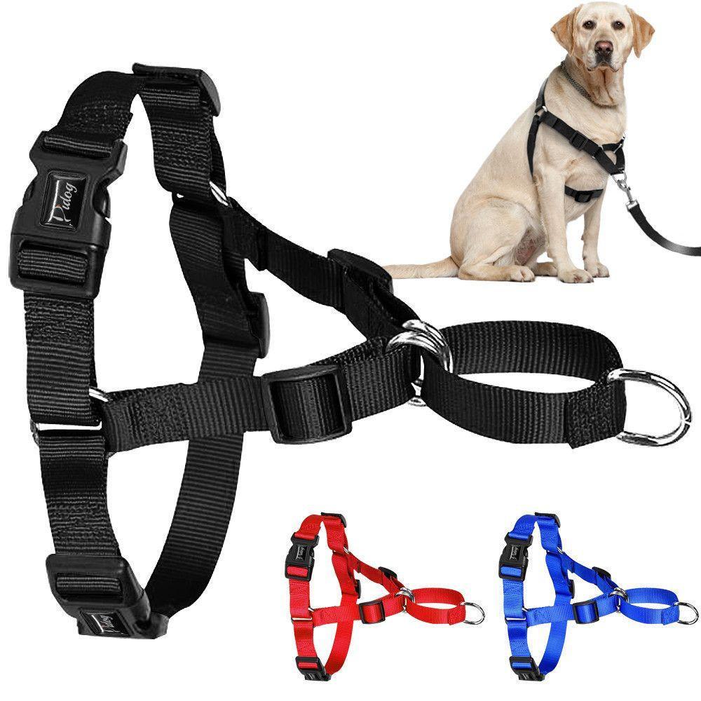 No Pull Front Leading Easy Walk Dog Harness-DogsTailCircle
