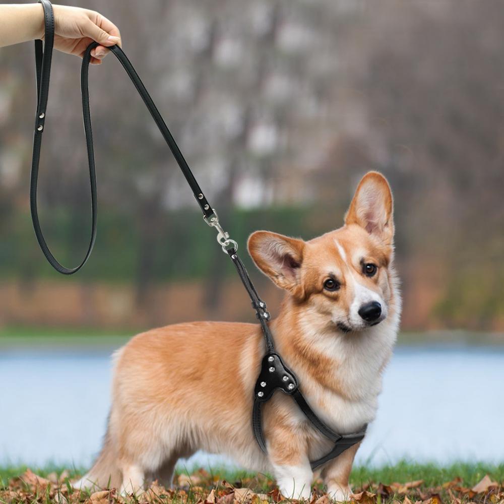 Sturdy Adjustable Rhinestone Dog Harness With Leash-DogsTailCircle